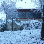 P1050229